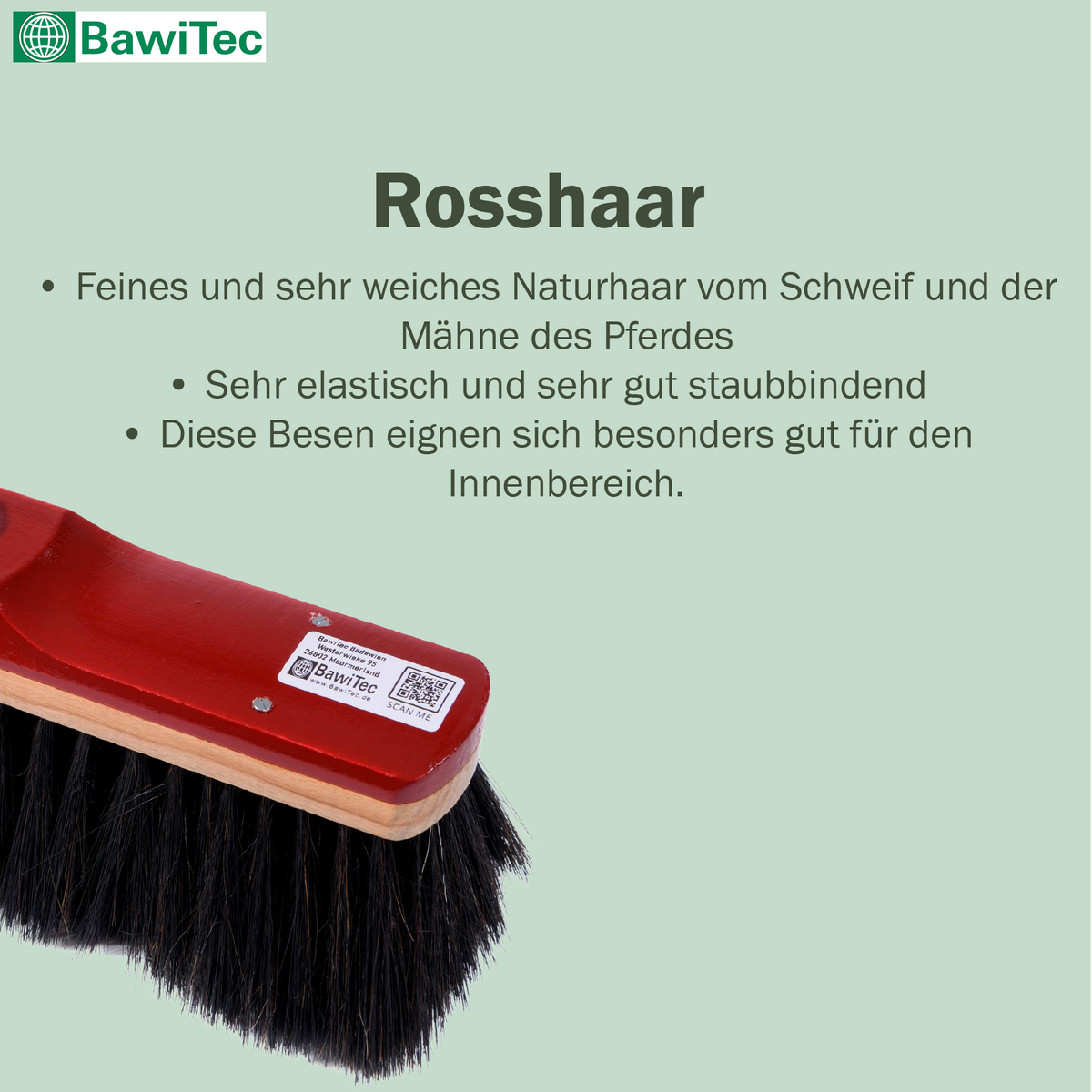 Hochwertiger Echt-Rosshaarbesen Zimmerbesen 30cm Breit