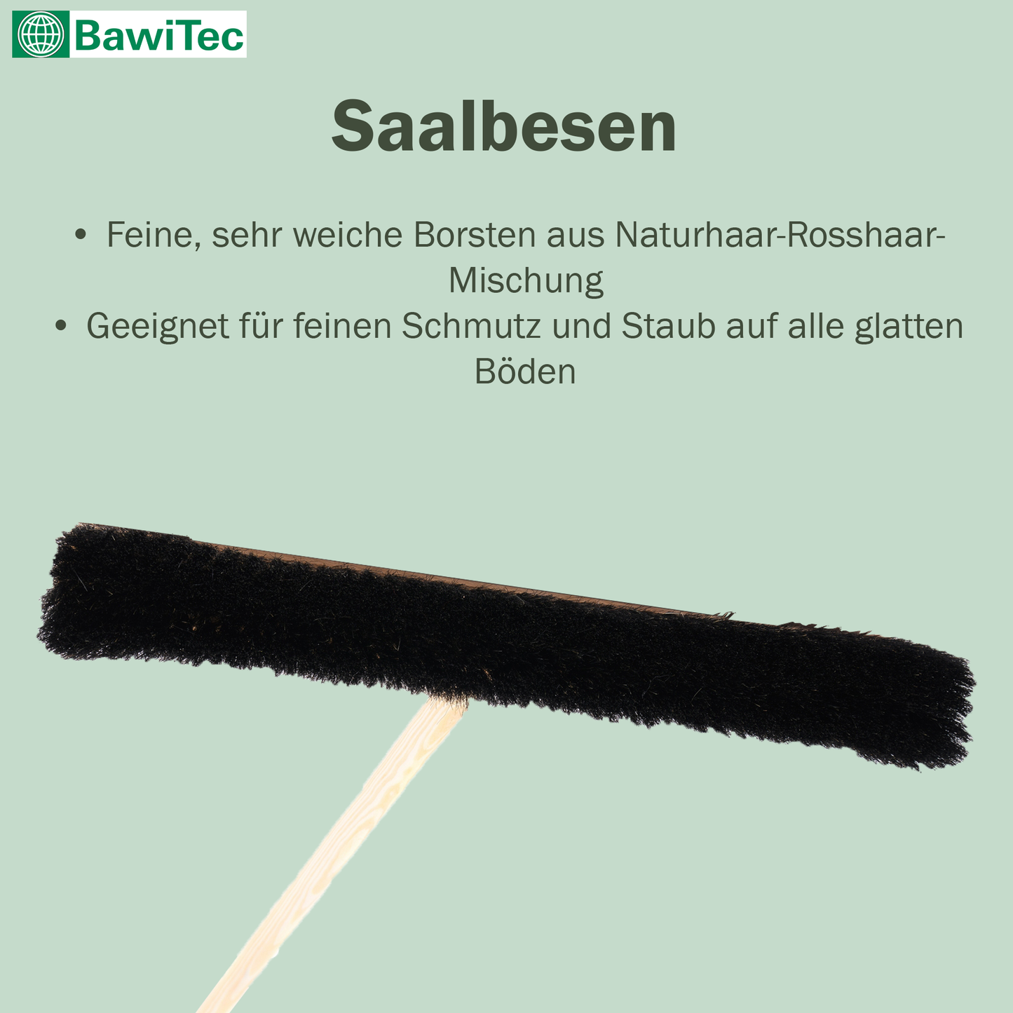 Professional natural hair horsehair broom with handle and plastic holder. Very soft broom and broom handle