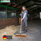 Industriebesen Kokosbesen Naturfaser mit passendem Holzstiel Besenstiel Kehrbesen Kokosborsten Saalbesen