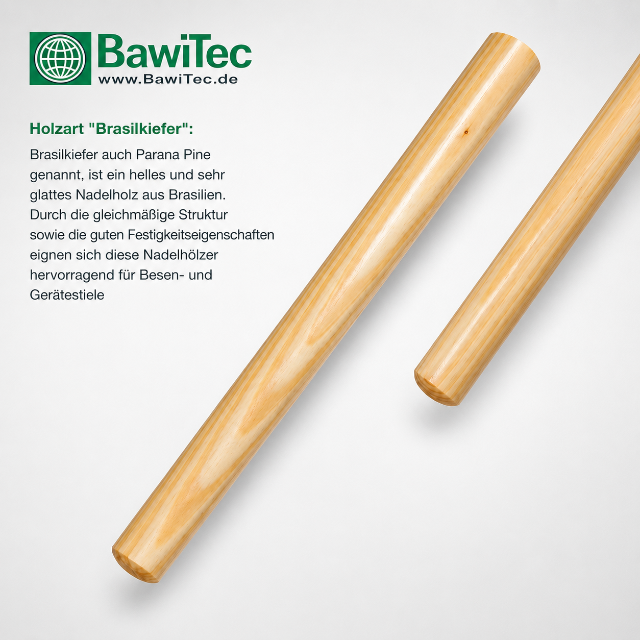 Besenstiel Holzstiel Ø 24mm Länge 140cm, 160cm Stiel für Besen Schrubber Wischer usw.