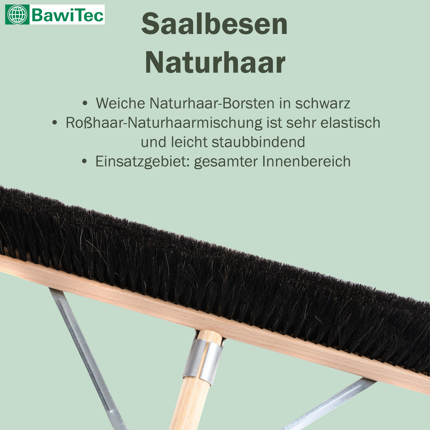 Professioneller Saalbesen Naturhaar/Rosshaar-Borsten mit Stielstabilisator und Holzstiel Stiel Großraumbesen sehr weich Besen